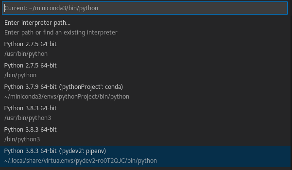 vscodepipenv.png